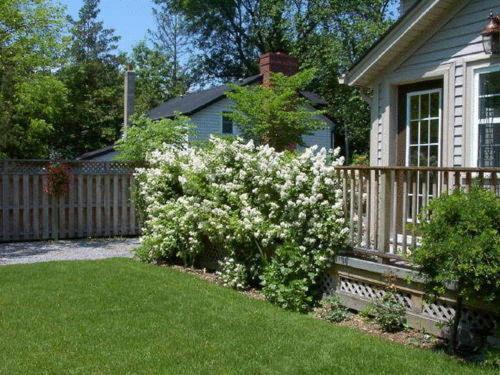 Antique Slumber Old Town Bed & Breakfast Niagara-on-the-Lake Екстериор снимка